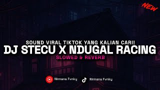 Download Lagu DJ STECU X NDUGAL RACING BY APRI RMX VIRAL TIKTOK TERBARU 2025!! (Slowed \u0026 Reverb) MP3