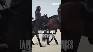 On peut dire que c'est une promo au poil ! 🦧🐴 #planetoftheapes #laplanètedessinges #promo #cinema