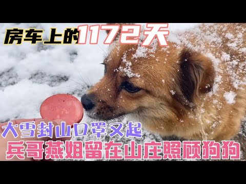 山东大雪封山继续下、疫情又起、兵哥燕姐留在山庄上照顾小黑和小黄【房车兵哥之旅】