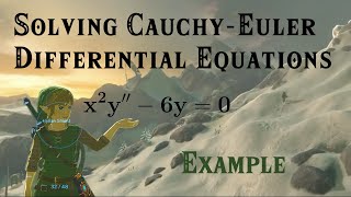 Famous Differential Equations | Euler Equations Example 1 Net Worth