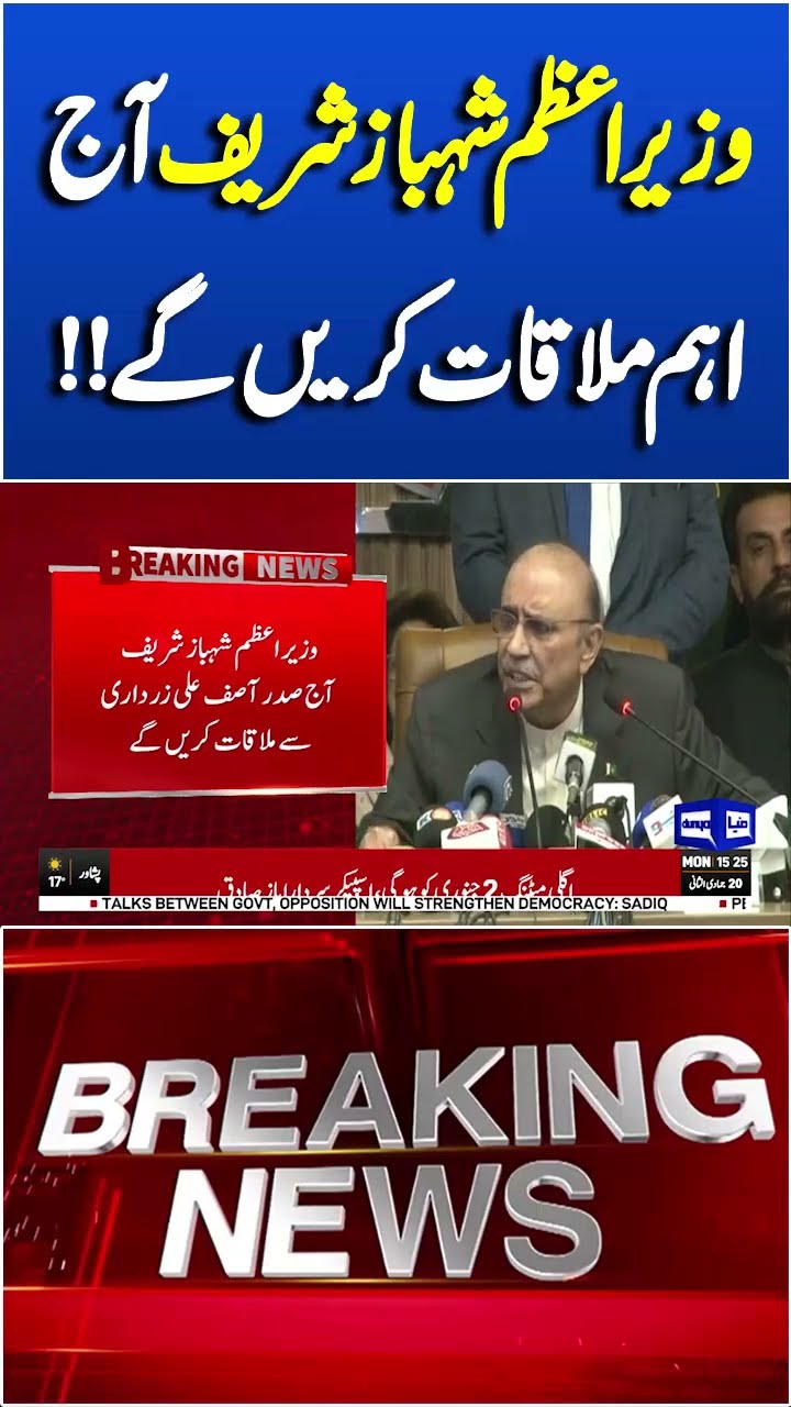 Breaking | Shahbaz Sharif Met With Asif Ali Zardari  | Dunya News #shortsnews #viralvideo