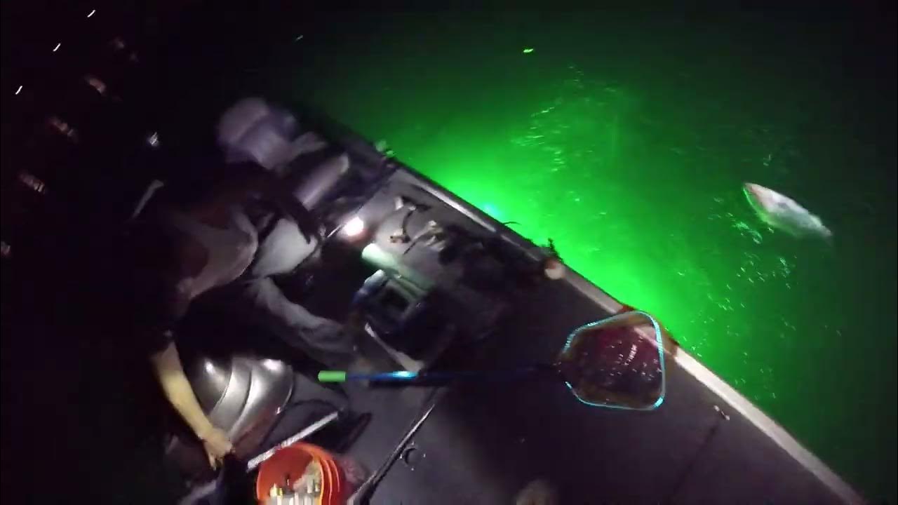 Russell Young Striper Fishing Lake Pleasant July 18, 2023 YouTube