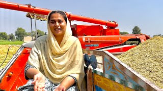 Punjabi Village Life | Modern Harvesting Methods