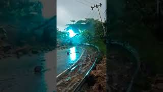 POHON TUMBANG LANGSUNG MELEDAK KENA TIANG LISTRIK#shorts