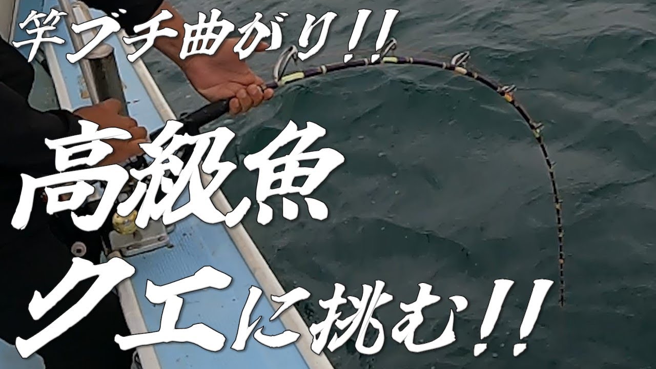 玄界灘で高級魚『クエ』に挑む!! - YouTube