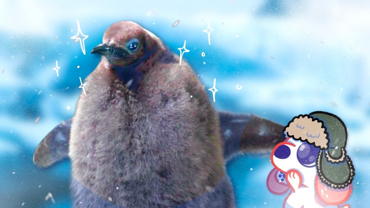 Pesto The Largest Baby Penguin