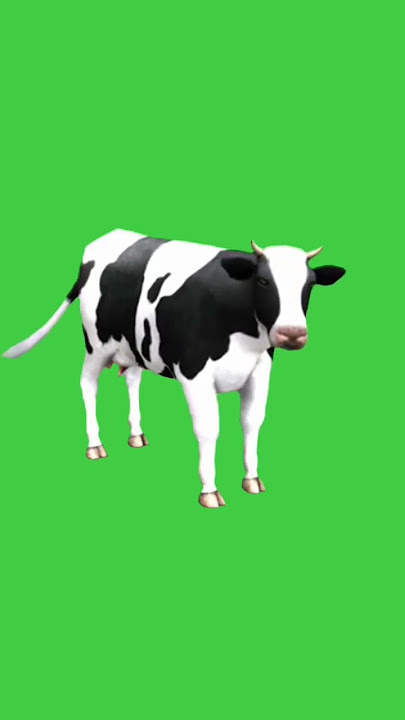 Green screen sapi bergerak #shorts #greenscreen
