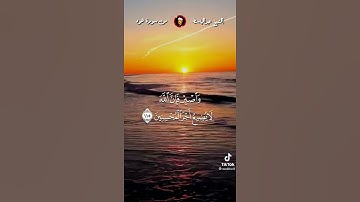 سورة هود ( وَاصْبِرْ فَإِنَّ اللَّهَ لَا يُضِيعُ أَجْرَ الْمُحْسِنِينَ ...