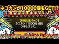 【Switch版実況2ndDate#179】脅威のネコカン10000個が手に入るシリアルコード打ち込んでみたら特典がヤバすぎた・・・・・・。【ふたりでにゃんこ大戦争】