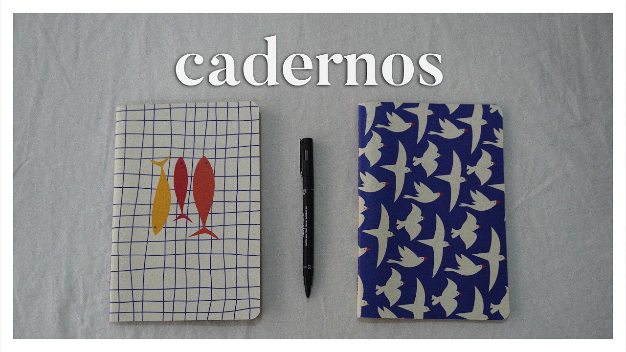 escrever em cadernos salvou a minha vida