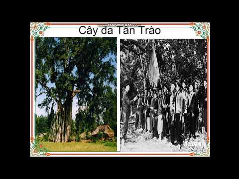 Tập viết_ Ôn chữ hoa T