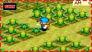 Game nông trại CulyTV #19 - Thu hoạch ngô  Bắp  làm thức ăn cho gà Harvest Moon Back To Nature screenshot 3
