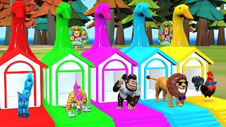 5 Giant Duck Cartoon,Cow,Elephant,Tiger,Dinosaur,Paint Wild Animals Crossing Fountain Animation #853
