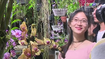 Bảo đảm đón Tết Nguyên đán Kỷ  Hợi 2019 vui tươi, lành mạnh, an toàn, tiết kiệm.