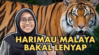 Harimau Malaya Bakal Lenyap