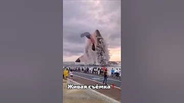 Мегалодон ЖИВ❗️