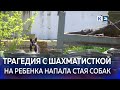 Хозяину овчарок, загрызших девочку в Сочи, грозит до двух лет лишения свободы