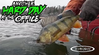 Fly fishing for BIG perch in shallow water l Åland Expedition l Day 3