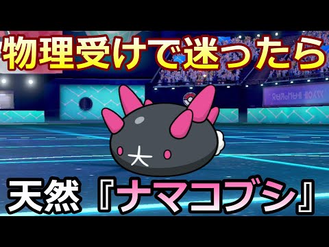 ポケモン剣盾 物理受けで迷ったら天然 ナマコブシ 固すぎる害悪 Youtube