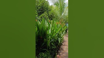 1485m (25 x 60) có 100m thổ cư Làng du lịch sinh thái Ông Đề, Mỹ Khánh | 0901033434