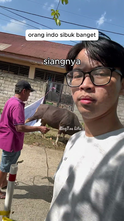 Kesibukan Warga Indo di Hari Raya Idul Adha ! #shorts
