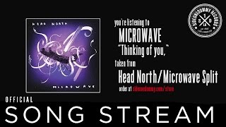 Miniatura de vídeo de "Microwave - Thinking of you, (Official Audio)"