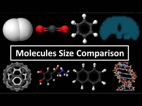 Molecules Size Comparison YouTube molecules-size-comparison-youtube