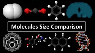 Molecules Size Comparison