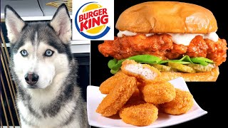 Asmr Dog Reviewing Chicken Burger And Chicken Nuggets #chicken #asmr