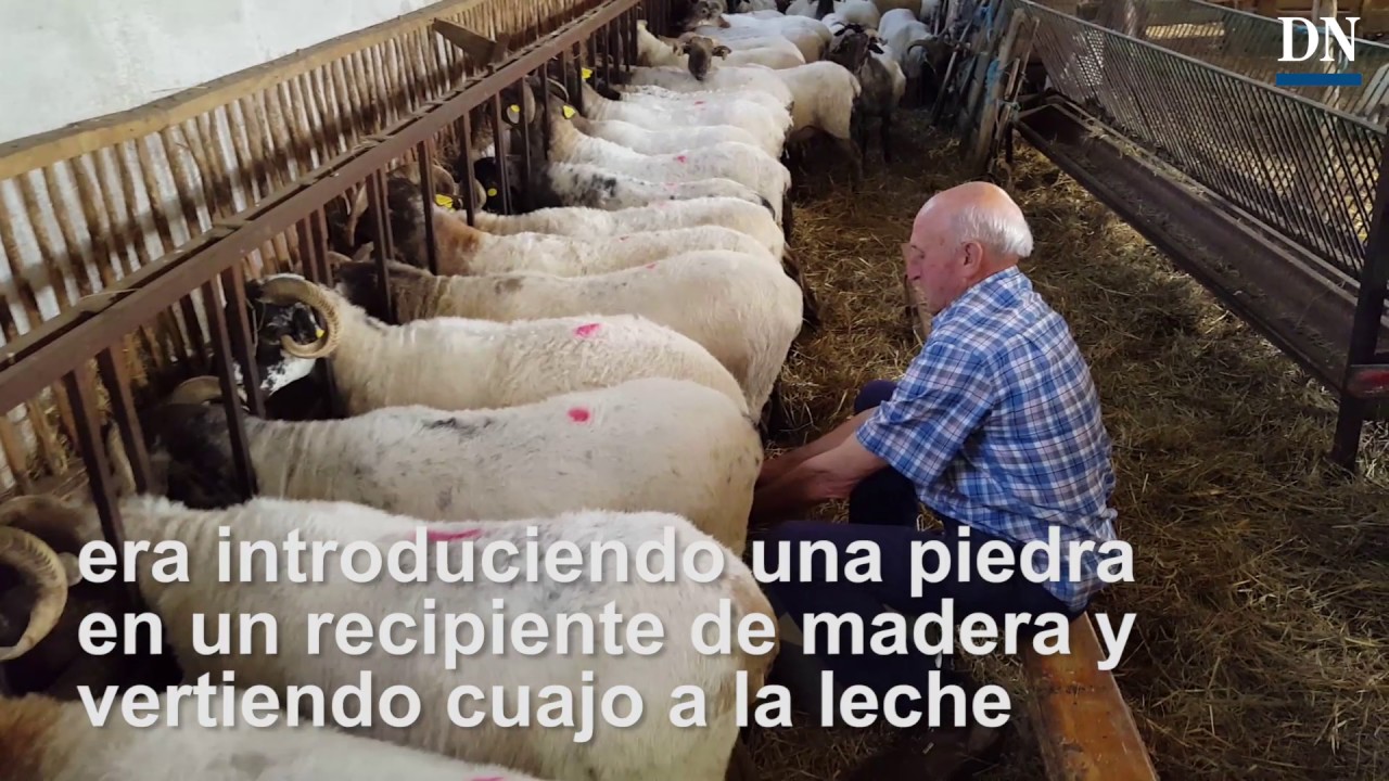 Día de la Cuajada en Arraitz