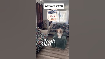 One ☝️ and Only way to become #Fearless 🤣 Ninja 🥷