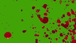 Green Screen Flying red rose flower petals animated | Free background Hd Video loop NINI Design