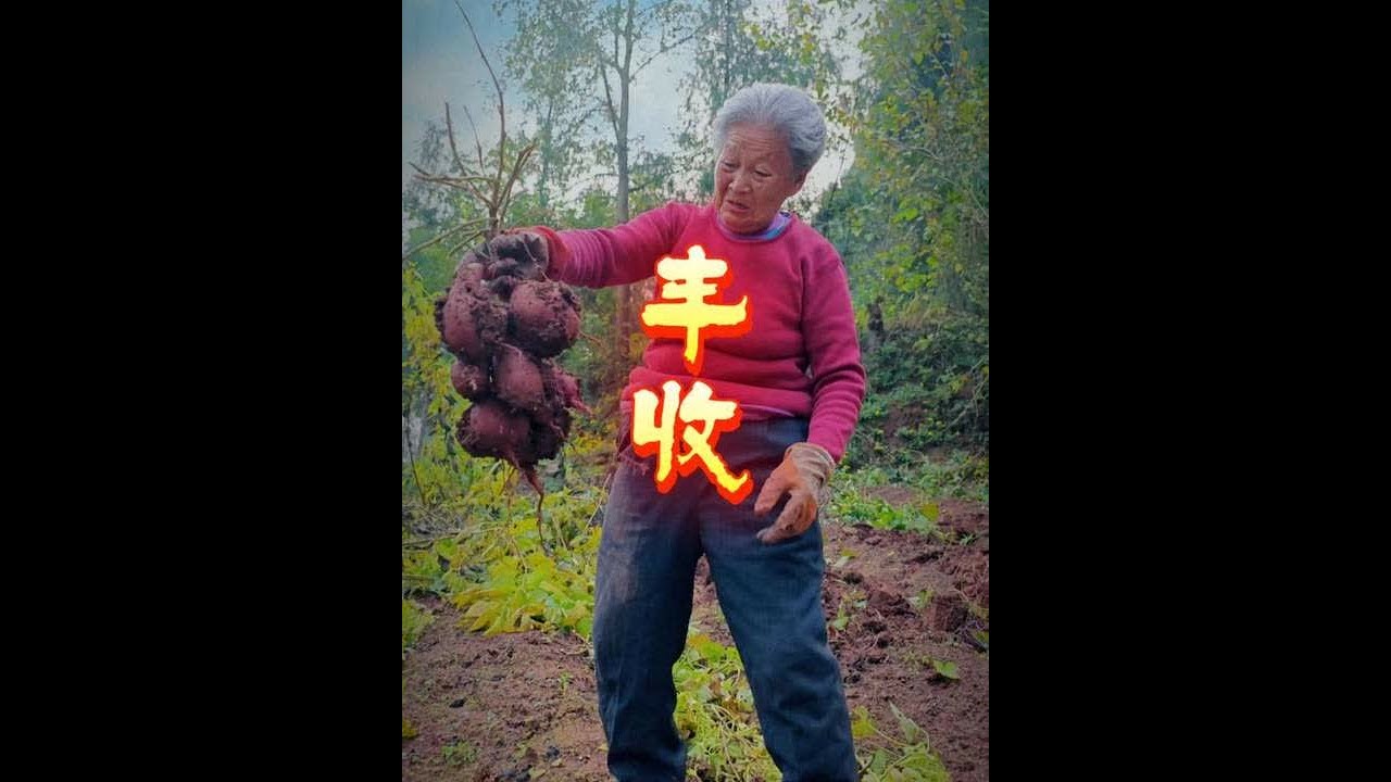 85岁素方的养生秘籍::生态种植，健康生活♥ 丰收的喜悦啊，溢于言表