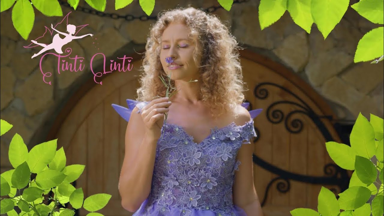 Tinti Linti - Gnómovia / Element ZEM