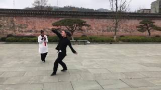 Wudang Kung Fu Seven Star Tai Chi  Sword - 武當七星太極劍