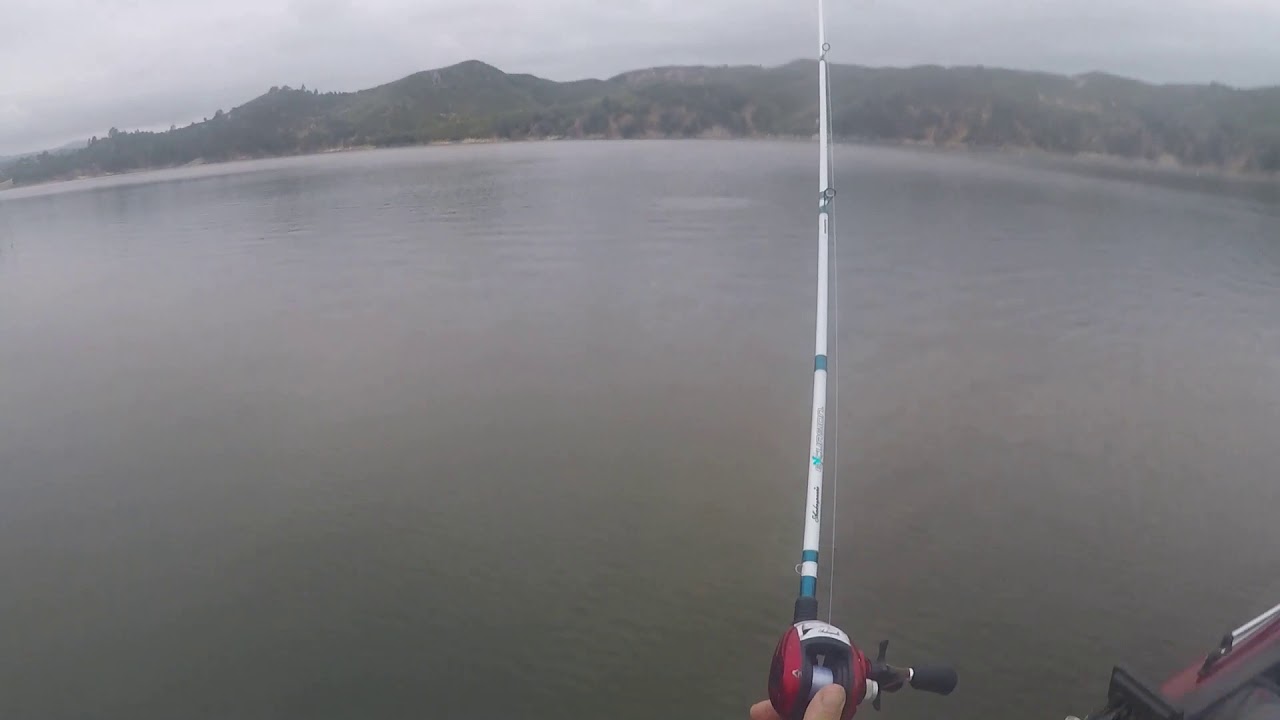Nacimiento Lake White Bass Top Water YouTube