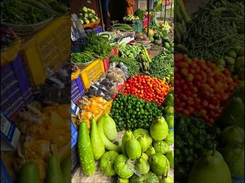 Dandiyon Ku Bakrwalu Nature Music Pahadi Song Mountains Love Duet Travel Funny 