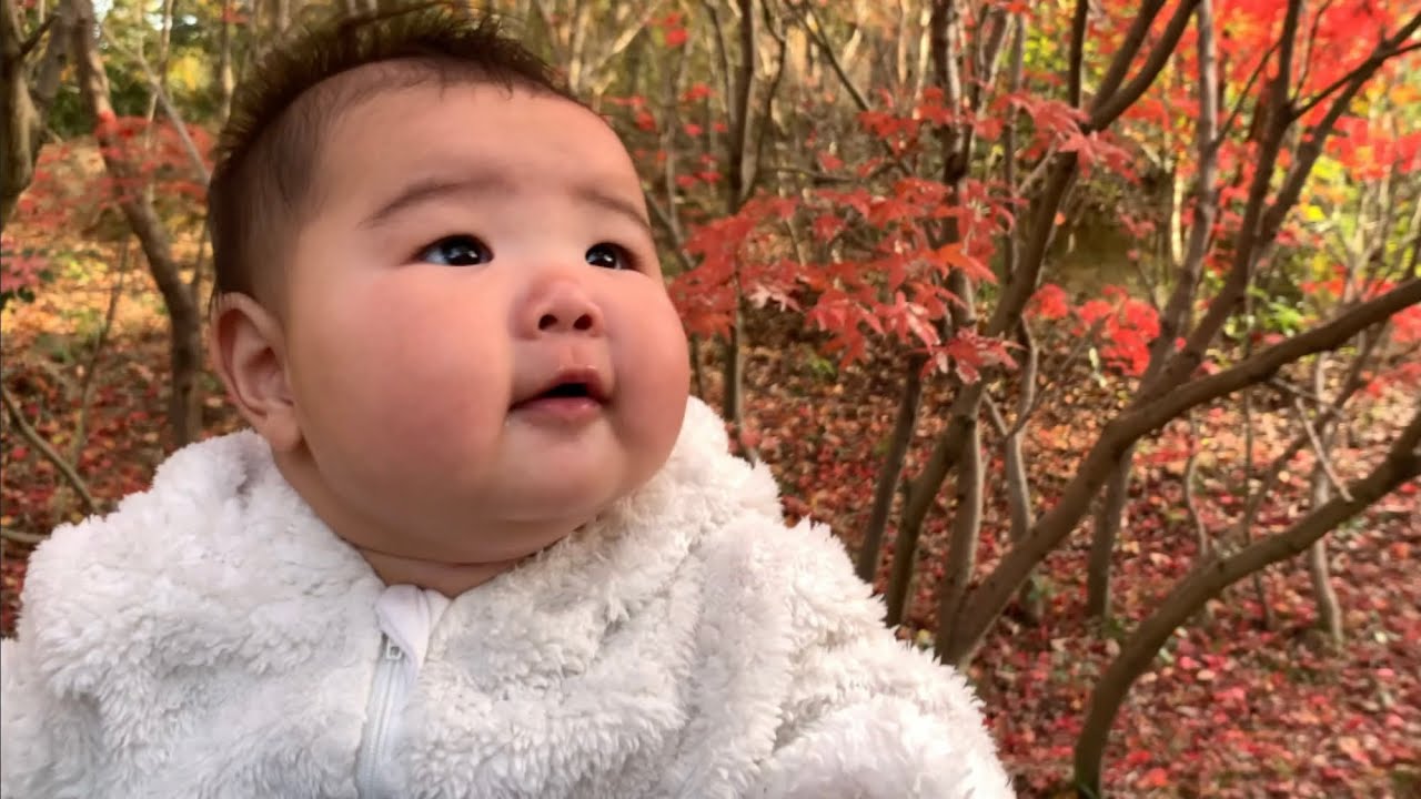 生後187日目の育児記録です。