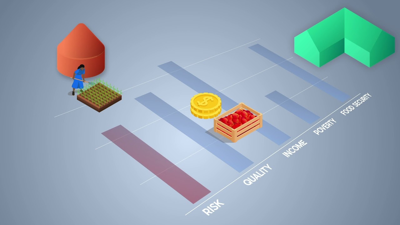 4 - Home-Grown School Feeding Programmes... How do they promote local economic?