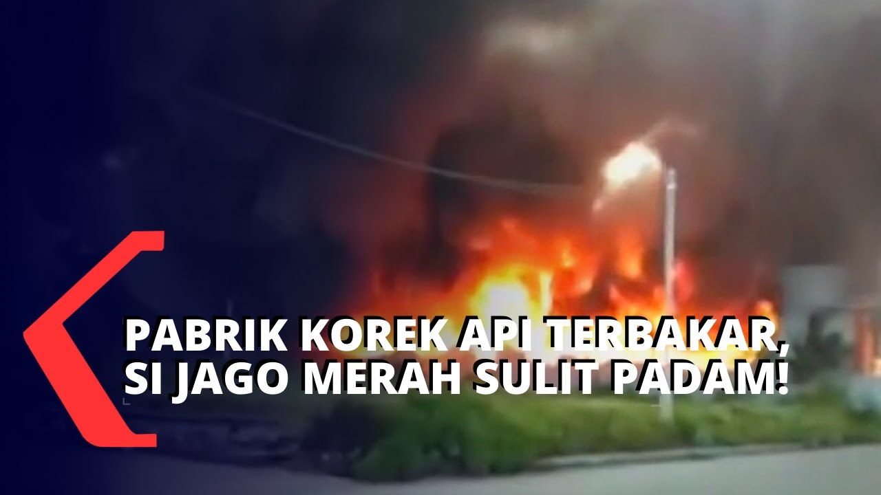 SEBELUM JOSH BROLIN BERJUANG DENGAN KEBAKARAN LIAR DALAM u0027ONLY THE 