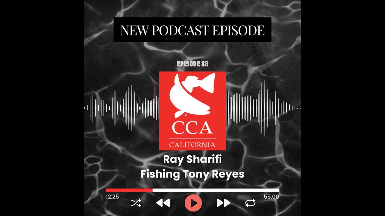 CCA CAL Podcast: Episode 88 - Ray Sharifi (