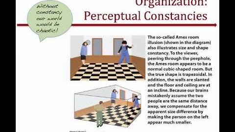 Lecture4b Perception2