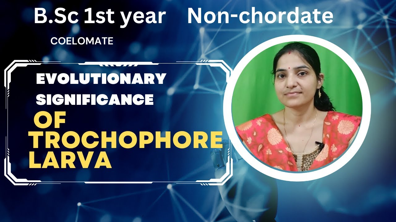 Evolutionary Significance Of Trochophore Larva B.sc 1st year||Structure of Trochophore Larva#gnb