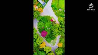 Snack video  good morning  video  WhatsApp  status#