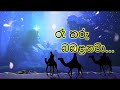 Ree Tharu babalanawa | රෑ තරු බබළනවා | Sinhala Christmas Song | නත්තල් ගීතිකා | Love of Jesus