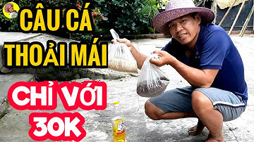 Bài Mồi Câu Cá Rô Cá Chốt Test Và So Sánh Thực Tế Rất Hiệu Quả | Anh Liêm Vlog