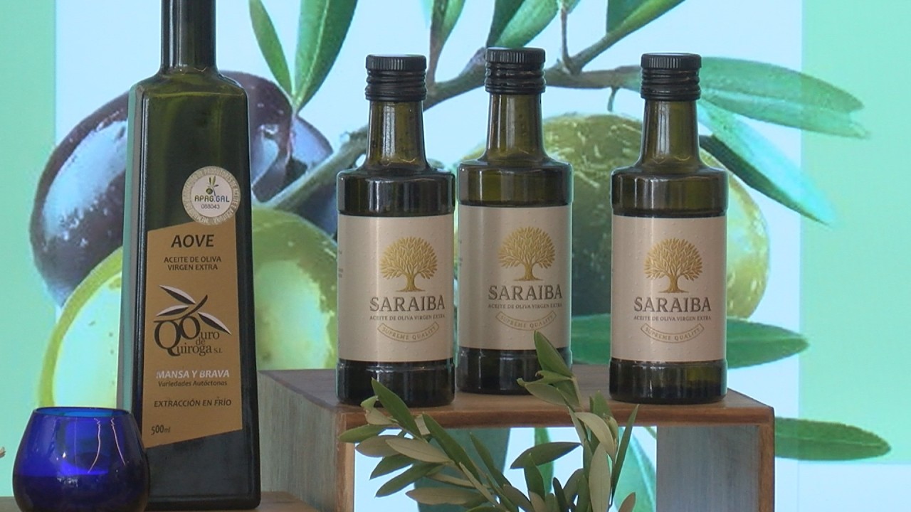 O Salnés presume do seu primeiro aceite de oliva
