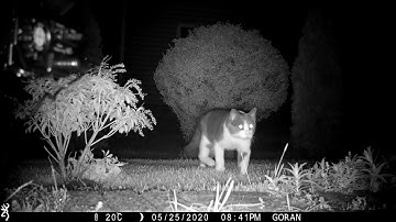 Orbit yard enforcer 62100