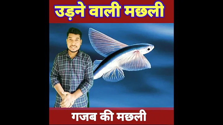हवा में उड़ने वाली मछली #short #shorts#vipinbaghel