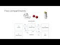 Pharmacokinetics series #3 - compartment modelling